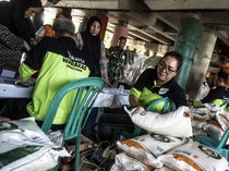 Siap-siap! Bansos Beras 10 Kg Disalurkan Oktober-November