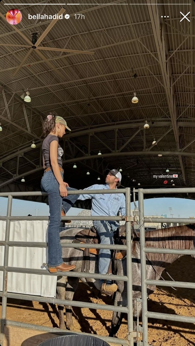 Saat Valentine, adik dari Gigi Hadid itu pun memposting foto di Instagram Story-nya dengan keterangan “my Valentine.”Foto: dok. Instagram/@bellahadid