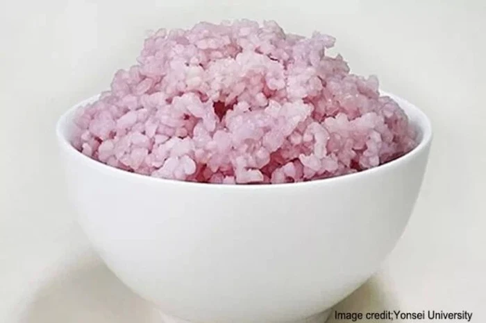 Cantik! Nasi Warna Pink Ini Ternyata Diinfus Protein Daging Sapi
