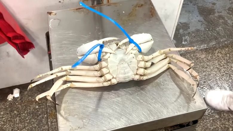 Crystal Crab
