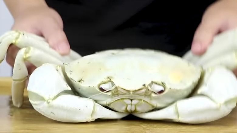 Crystal Crab