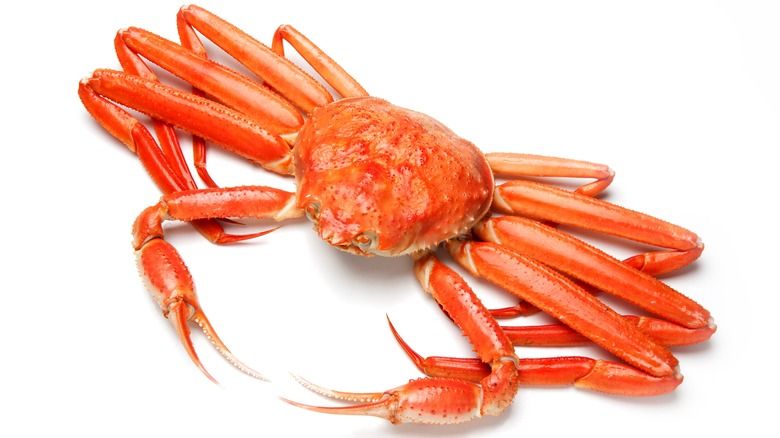 Crystal Crab