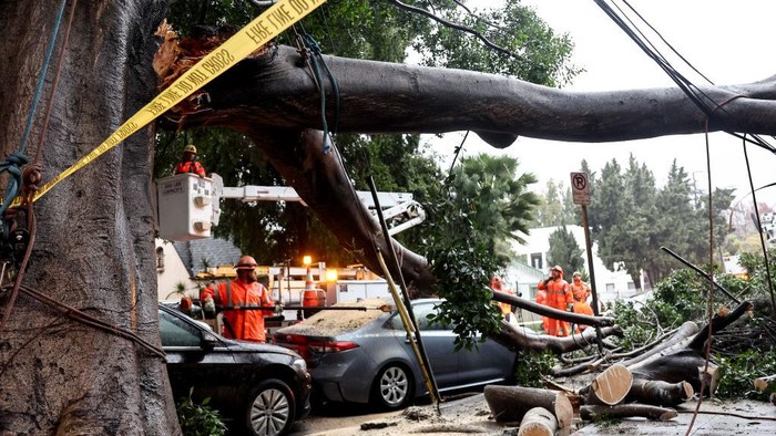 Hujan badai menerjang kawasan Los Angeles, California (19/2). Akibatnya, sejumlah pohon tumbang.