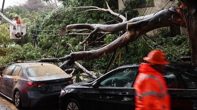 Diterjang Hujan Badai, Pohon Tumbang Timpa Mobil di California