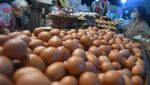 Harga Telur Kian Melonjak