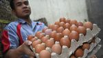 Harga Telur Kian Melonjak