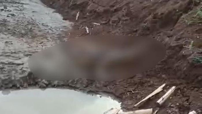 Jasad remaja dilaporkan hilang ditemukan tewas tenggelam di proyek pembangunan embung