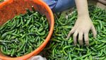 Jelang Ramadan Harga Kebutuhan Bahan Pokok di Pasar Surabaya Merangkak Naik
