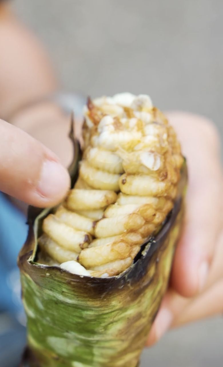 Larva Lebah Madu Panggang, Makanan Unik dan Eksotis di Laos