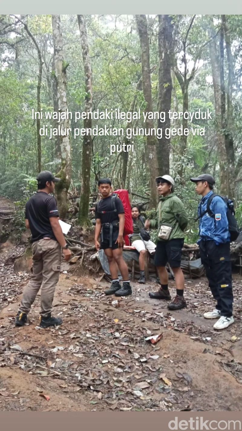 Oknum pendaki ilegal diamankan