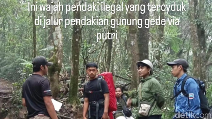 Oknum pendaki ilegal diamankan