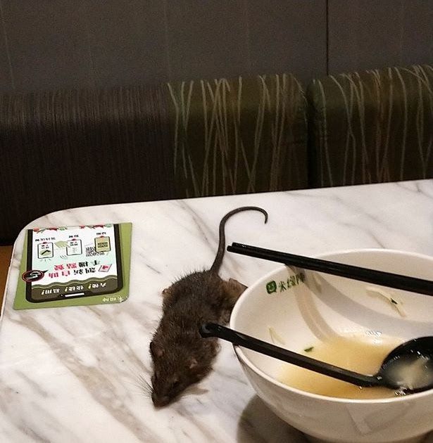 Petugas Kebersihan Ini Dipecat Karena Ketahuan Lahap Makanan Sisa di Kantor