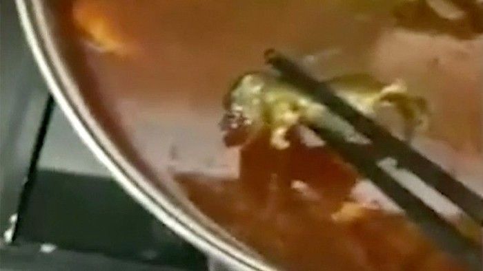 Petugas Kebersihan Ini Dipecat Karena Ketahuan Lahap Makanan Sisa di Kantor