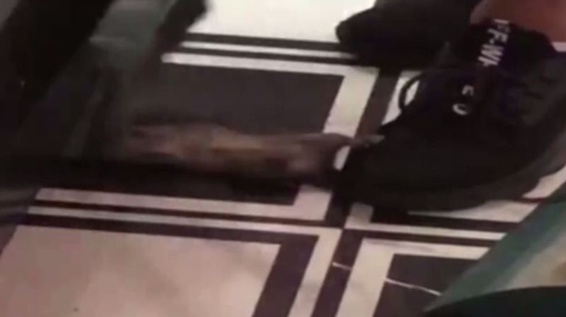 Petugas Kebersihan Ini Dipecat Karena Ketahuan Lahap Makanan Sisa di Kantor