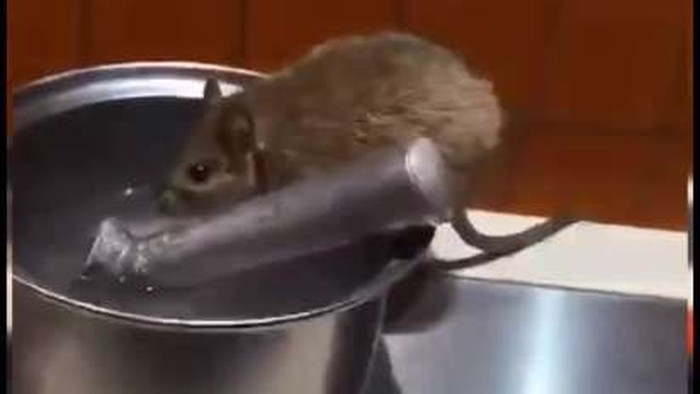 Petugas Kebersihan Ini Dipecat Karena Ketahuan Lahap Makanan Sisa di Kantor