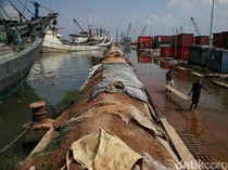 Siaga Banjir Rob di Pesisir Utara Jakarta