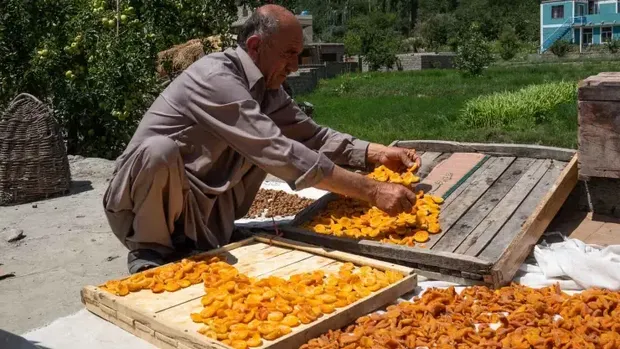 Warga nan tinggal di lembah terpencil Hunza, nan terletak jauh di utara Pakistan dapat hidup sampai usia 100 tahun. (Dok. CNBC Internasional/Samantha Shea)