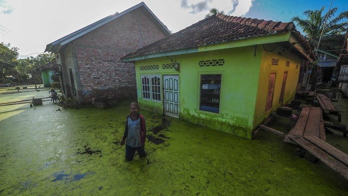 Seorang warga berjalan di depan rumahnya yang terendam banjir di Desa Sungai Bungur, Muaro Jambi, Jambi, Selasa (20/2/2024). Banjir yang menggenangi ratusan rumah akibat meluapnya Sungai Batanghari yang telah berlangsung lebih dari delapan minggu tersebut menghambat aktivitas warga serta peniadaan kegiatan sekolah secara tatap muka tersebut. ANTARA FOTO/Wahdi Septiawan/wpa.