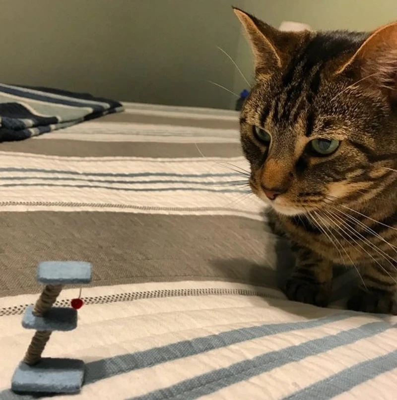 Kecele! Belanja Online Aslinya Tak Sesuai Harapan