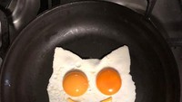 Dengan dua kuning sebagai mata, membuat karya ini terlihat lucu karena membentuk karakter kucing. Foto: Instagram @The_eggshibit