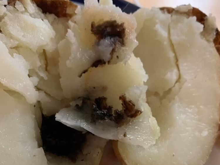 Kacau! 10 Potret Makanan Rumah Sakit yang Tampilannya Bikin Mual