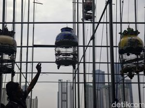 Menjemur Burung Perkutut di Bantaran Kanal Banjir Barat