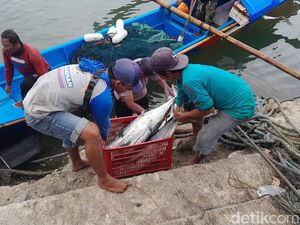 Rintih Nelayan Pangandaran di Musim Paceklik Ikan
