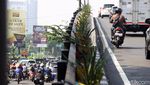 Potret Pemotor Bandel  Masih Melintas di Jembatan Mayangkara