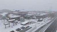 Cuaca ekstrem di China selama setahun terakhir berkisar dari badai pasir hingga hujan lebat dan panas terik yang memecahkan rekor selama musim panas.