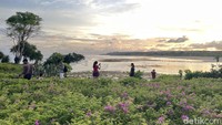 Peninsula Island merupakan sebuah pulau yang berlokasi di kawasan ITDC, Nusa Dua, Kuta Selatan, Badung, Bali.