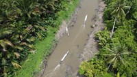 Selanjutnya, distribusi melewati jalur sungai dan sebagian lagi jalur darat dengan lokasi terjauh berjarak enam jam dengan menggunakan pompong, perahu panjang bermesin tempel yang dapat mengarungi lika-liku sungai Rereiket.