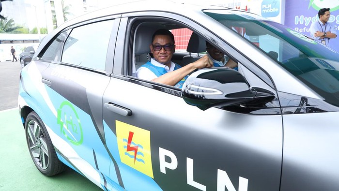 PLN
