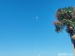 Detik-detik Satelit Merah Putih 2 Membumbung ke Angkasa