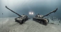Underwater Photographer of the Year  2024