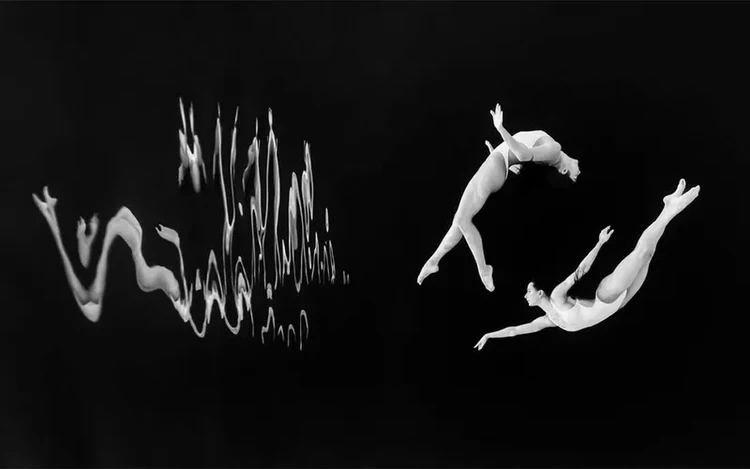 Underwater Photographer of the Year  2024