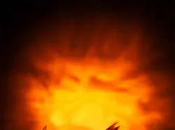 Karya Jawara Kontes Foto Underwater Bikin Takjub, Ada Indonesia