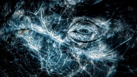Underwater Photographer of the Year  2024