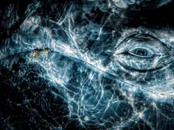 Karya Jawara Kontes Foto Underwater Bikin Takjub, Ada Indonesia