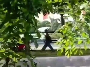 Viral Maling Dengan Santai Curi Lampu Taman di Kelapa Gading Siang-siang