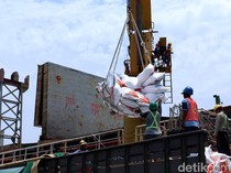 15 Ribu Ton Beras Impor Thailand Tiba di Banyuwangi