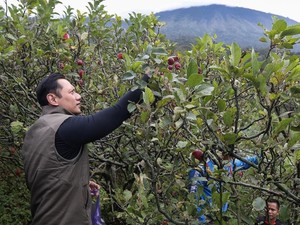 Tak Hanya Sibuk Blusukan, AHY Kerap Juga Berwisata lho