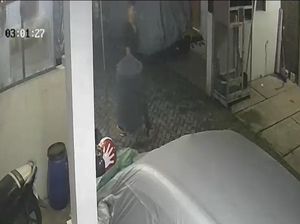 Burung Murai Senilai Rp 5 Juta di Depok Dicuri, Pelaku Terekam CCTV