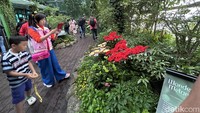 Lanjut, ada Butterfly Garden. Terletak di Terminal 3, Butterfly garden atau taman kupu-kupu di bandara dirancang sebagai habitat kupu-kupu tropis dengan banyaknya tanaman berbunga, tanaman hijau subur, dan air terjun gua setinggi 6 meter.