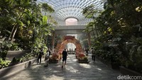 Menjadi ikon destinasi Singapura, Jewel Changi Airport berbentuk kubah kaca ikonik. Dirancang oleh arsitek kelas dunia, Moshe Safdie, Jewel menyuguhkan desain multi-dimensi yang unik, yang dilengkapi dengan berbagai atraksi wisata, tempat berbelanja dan restoran, hingga fasilitas bandara yang lengkap dan akomodasi yang dapat dinikmati oleh pengunjung dan wisatawan.
