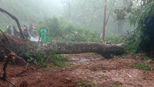 Longsor sepanjang 30 meter di ruas jalan Kampung Jeong-Kampung Nggolo, Desa Dunta, Kecamatan Welak. (Istimewa)