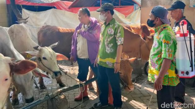 Penyemprotan desinfektan di salah satu pasar hewan di Pasuruan.