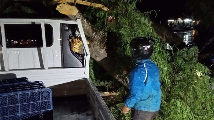 Pohon tumbang timpa pikap di Karawang.