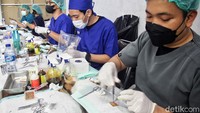 Operasi sterilisasi dilakukan oleh dokter hewan.