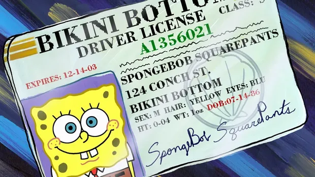 SIM SpongeBob SquarePants