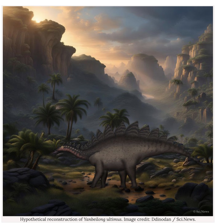 Stegosaurus spesies baru Yanbeilong ultimus ditemukan di China